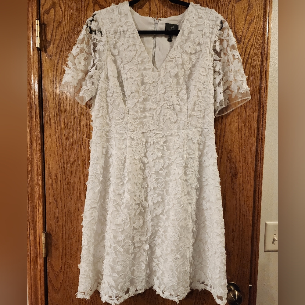 Adrianna Papell Dress